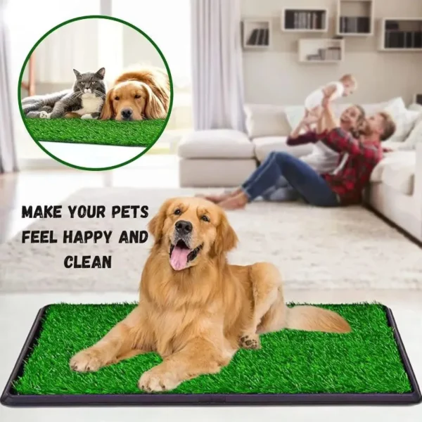 DoggyDell Dog Grass