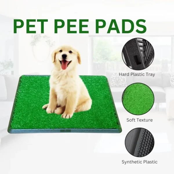 DoggyDell Dog Grass