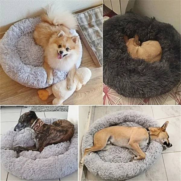 ZenZillow Calming Donut